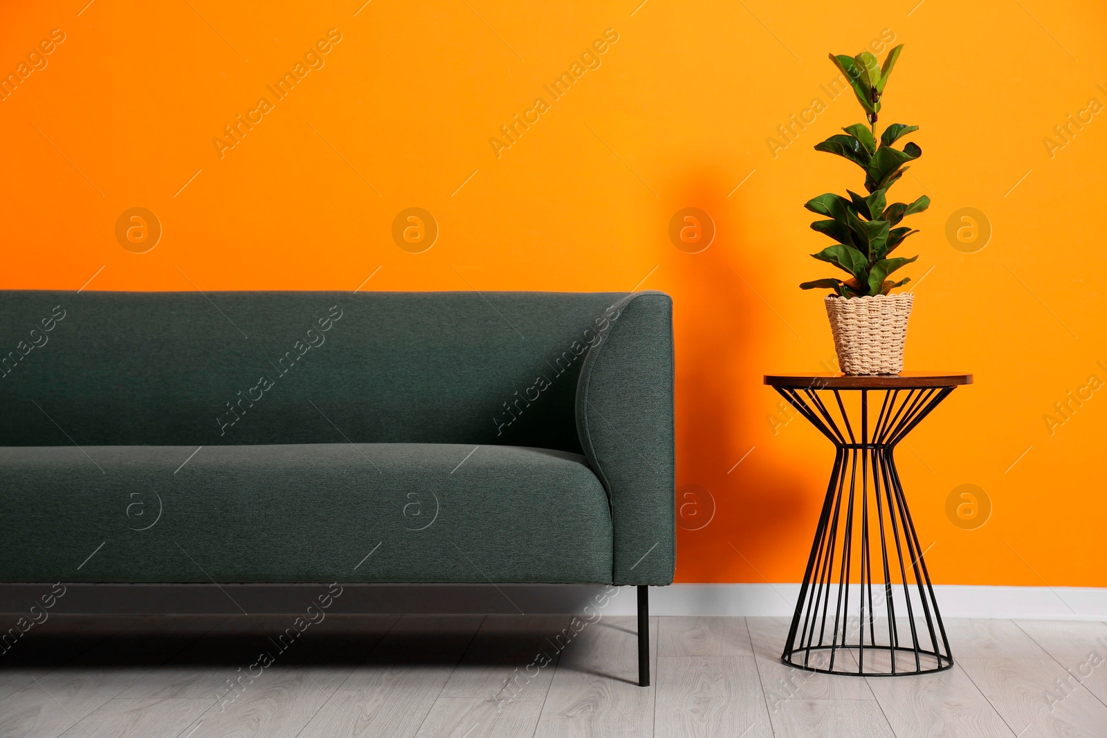 Photo of Stylish sofa and plant on side table near orange wall