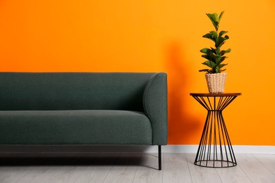 Photo of Stylish sofa and plant on side table near orange wall