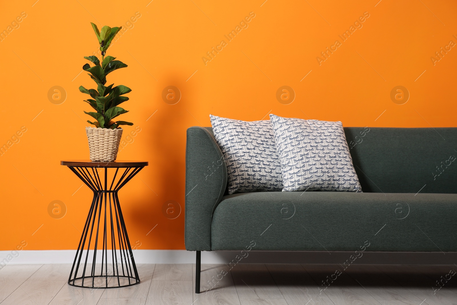 Photo of Stylish sofa with cushions and plant on side table near orange wall