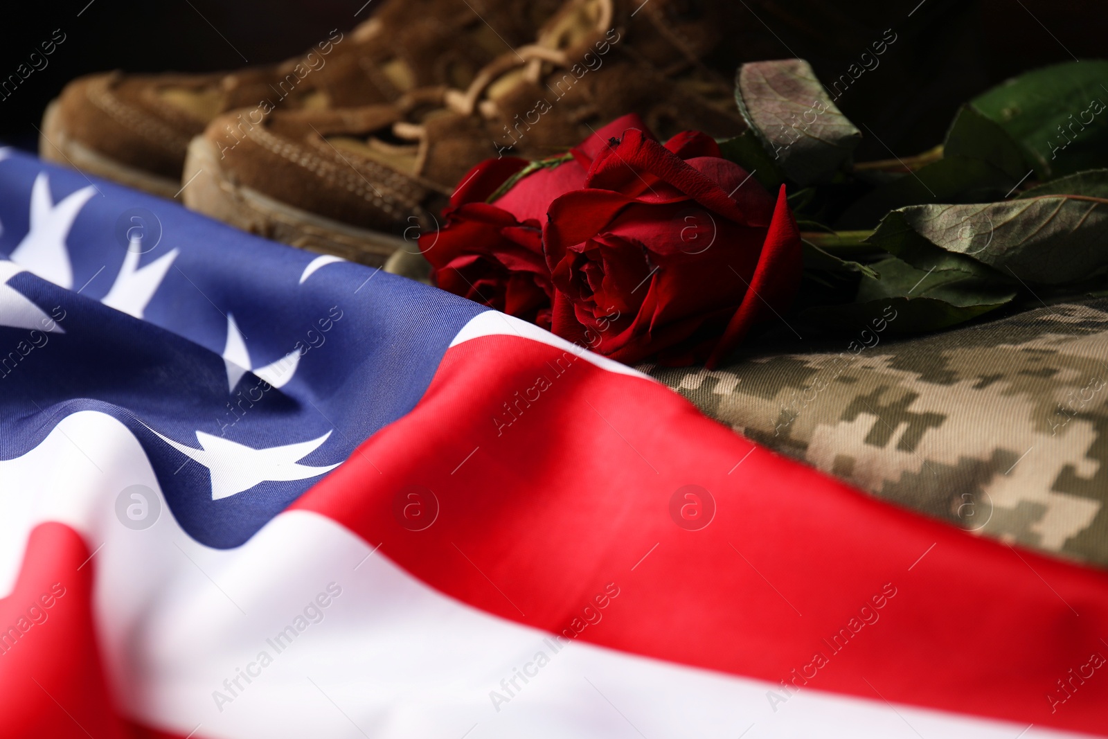 Photo of Veterans day. American flag, roses and military uniform, closeup