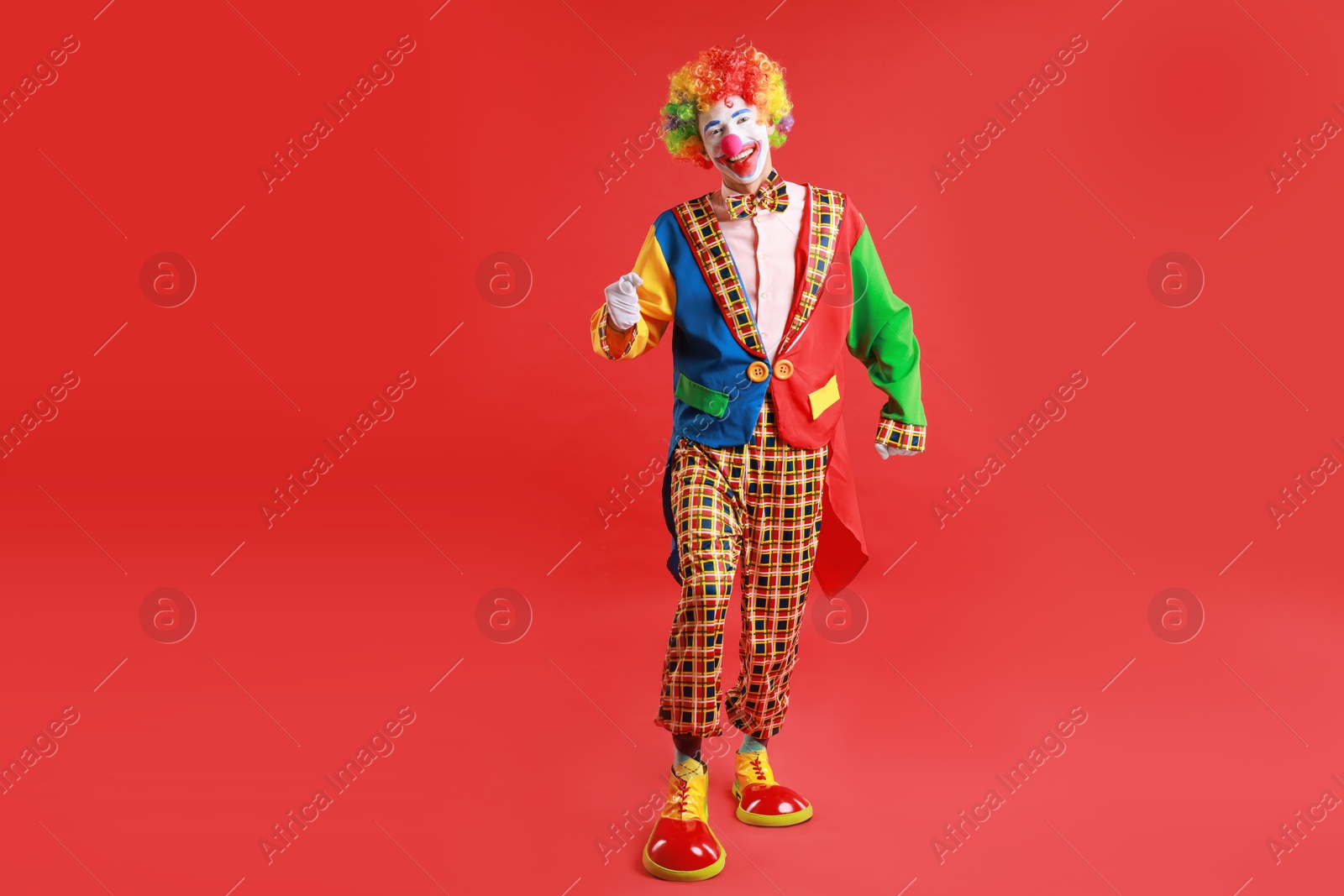 Photo of Portrait of happy clown on red background