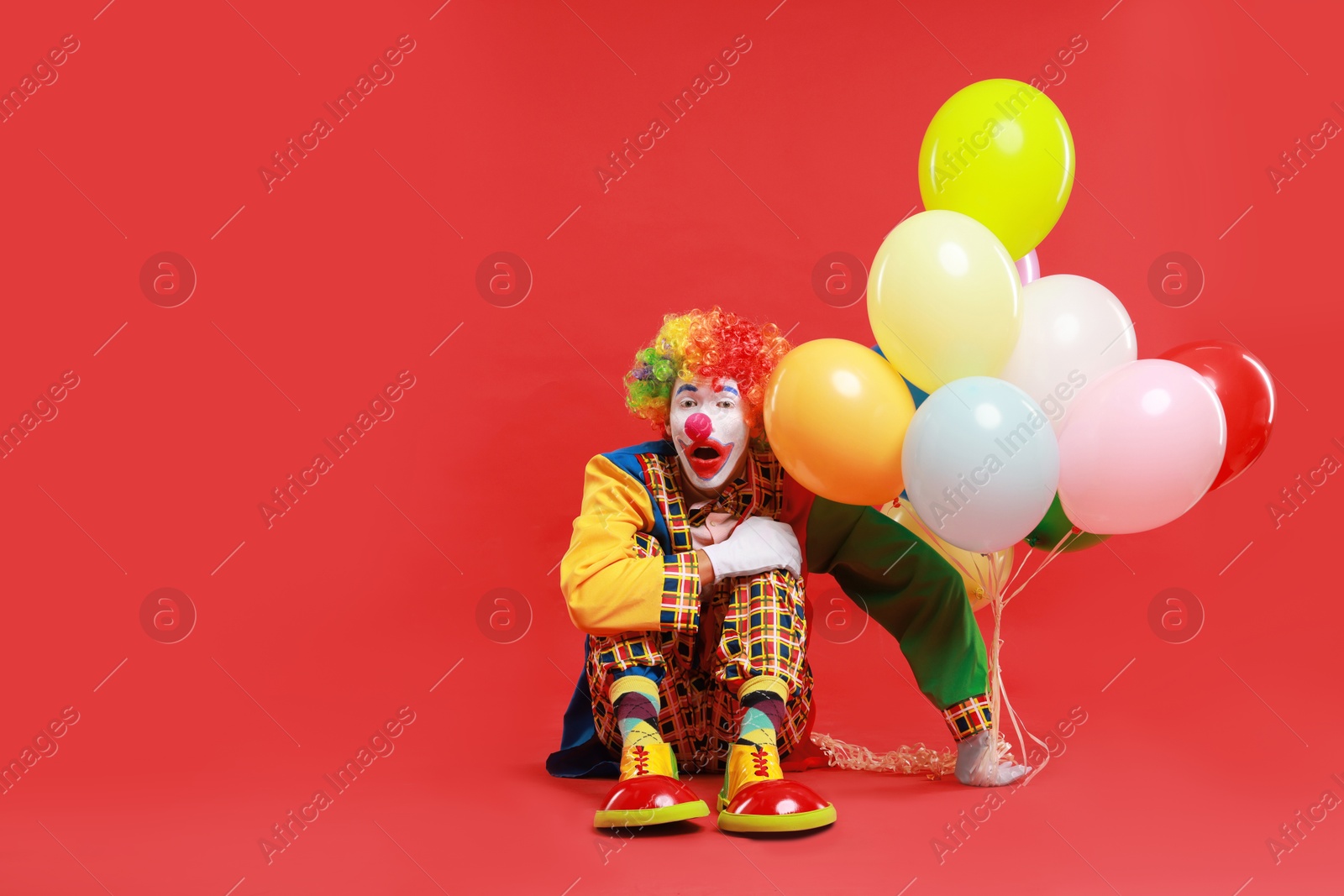 Photo of Emotional clown with colorful balloons on red background, space for text