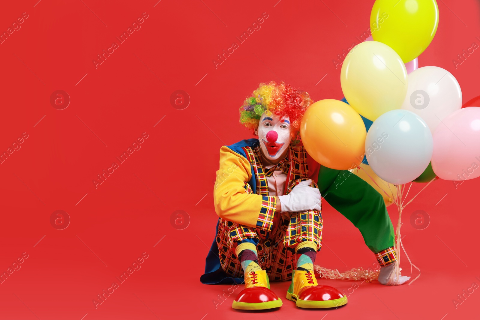 Photo of Emotional clown with colorful balloons on red background, space for text