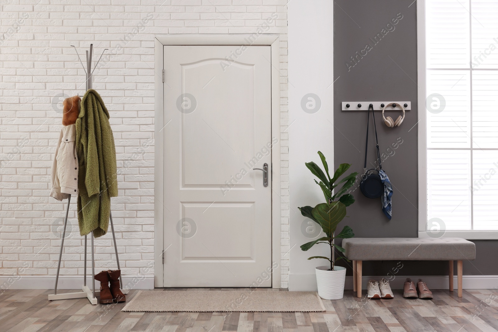 Photo of Stylish hallway interior with clothing rack and houseplant