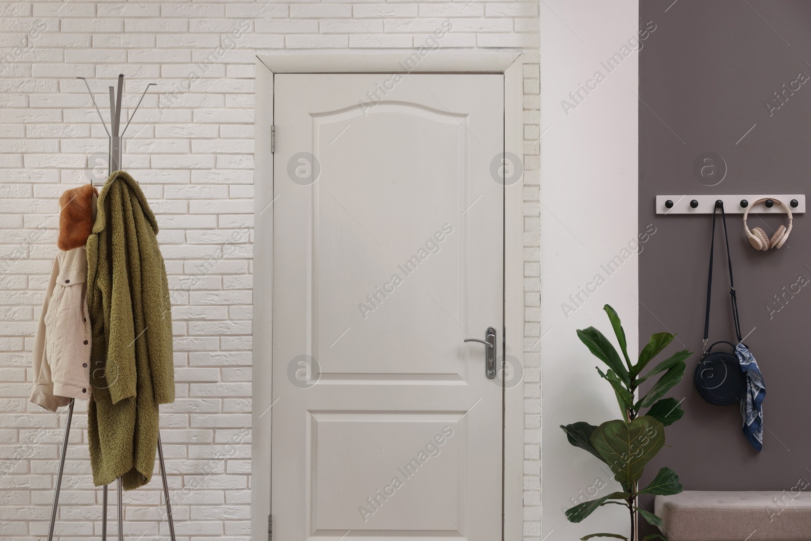 Photo of Stylish hallway interior with clothing rack and houseplant