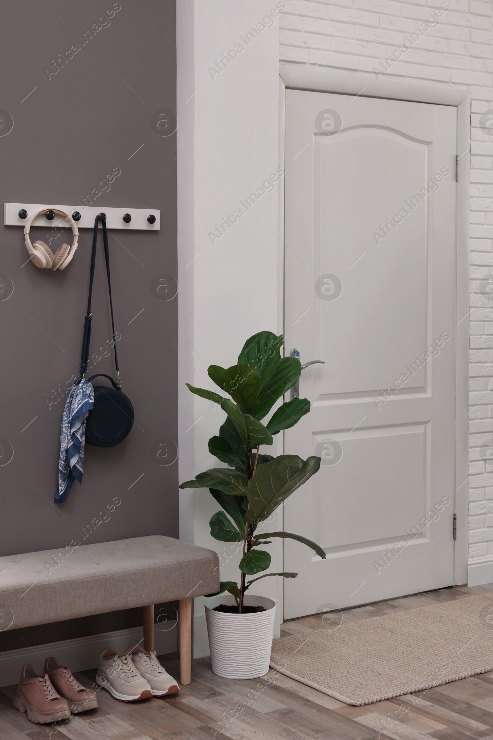 Photo of Stylish hallway interior with coat rack and houseplant