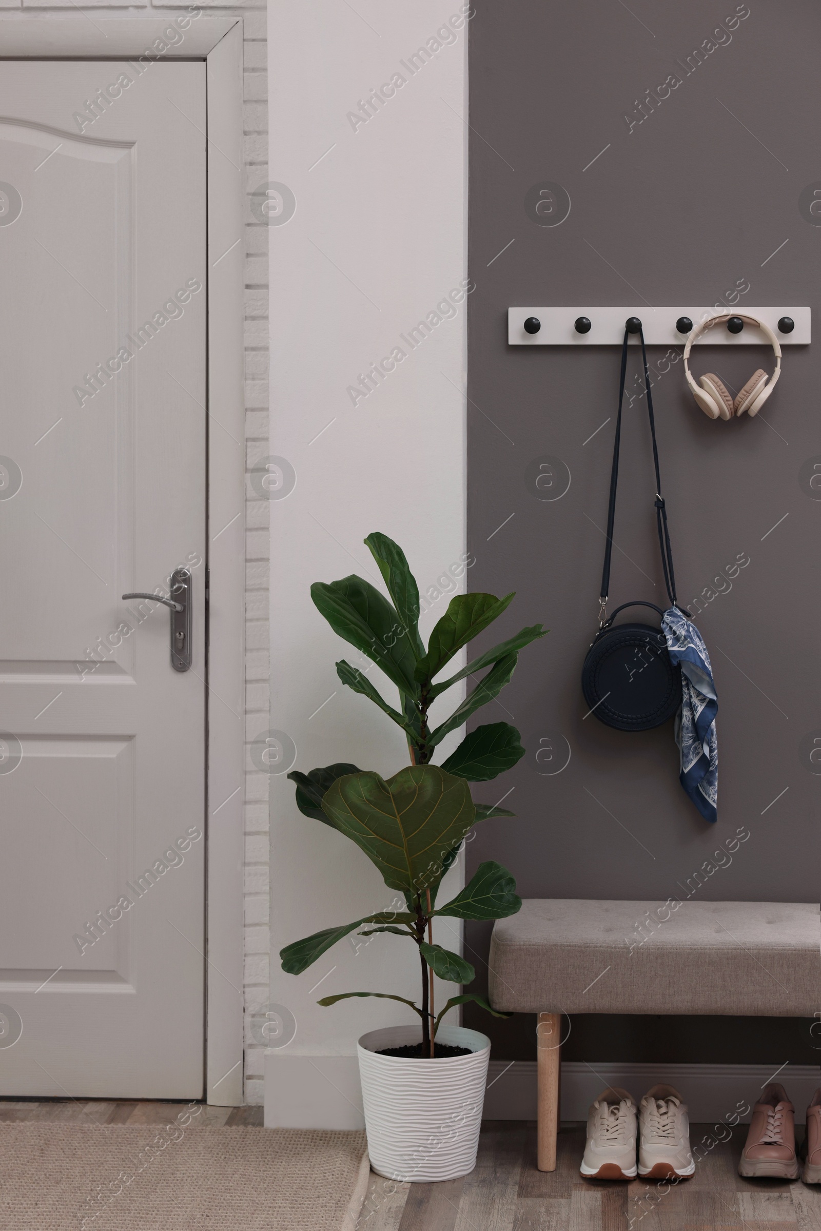 Photo of Stylish hallway interior with coat rack and houseplant