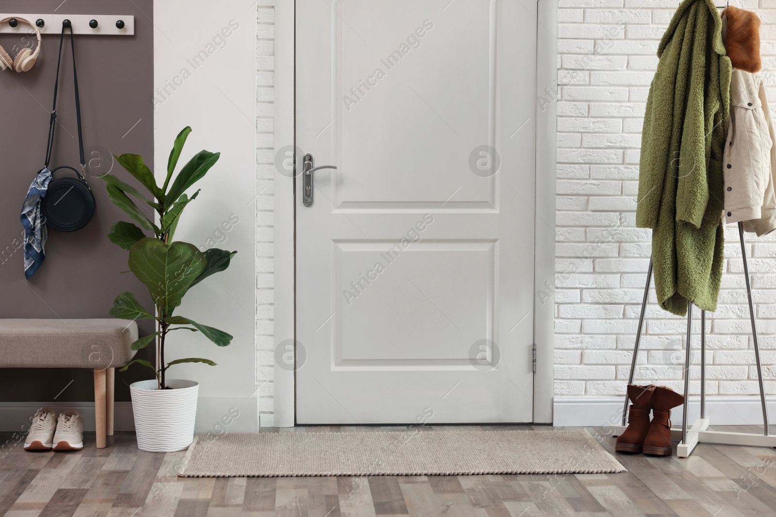 Photo of Stylish hallway interior with clothing rack and houseplant