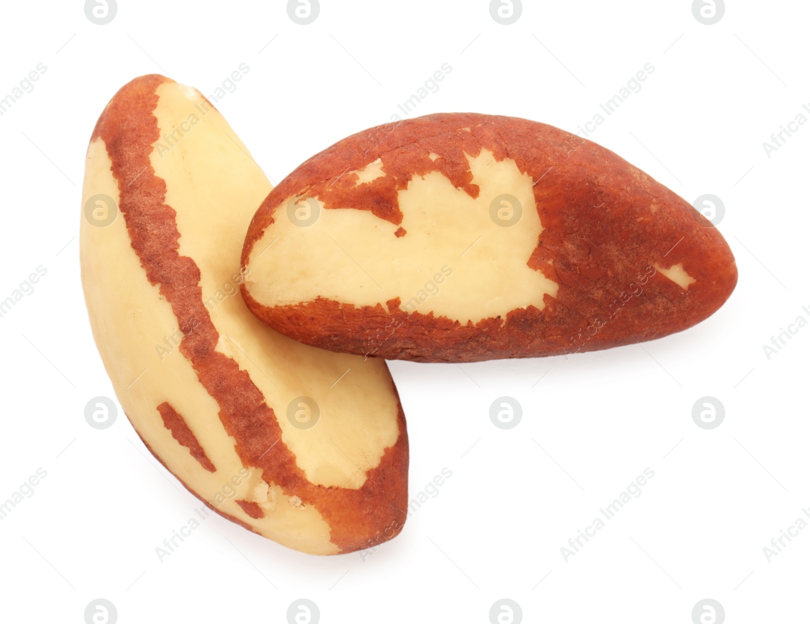 Photo of Two Brazil nuts isolated on white, top view