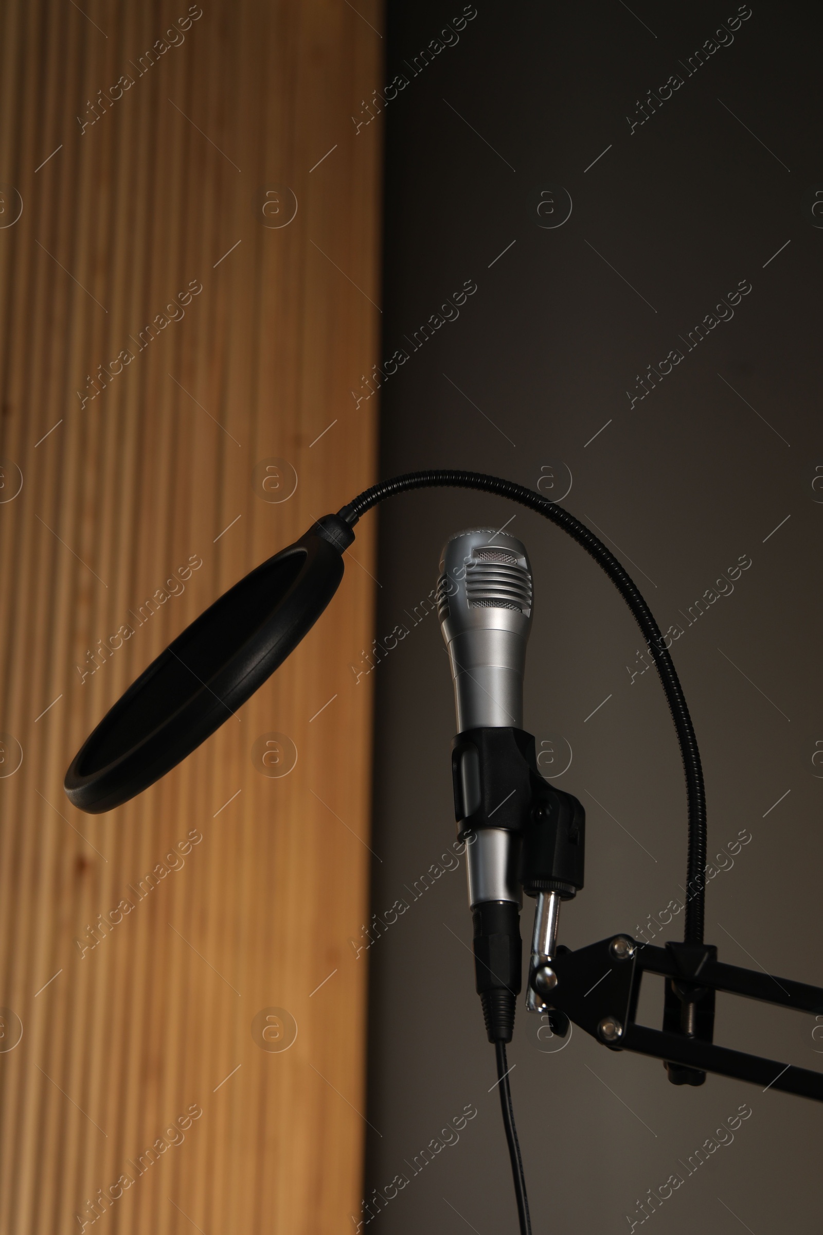 Photo of Stand with microphone and pop filter indoors. Sound recording and reinforcement