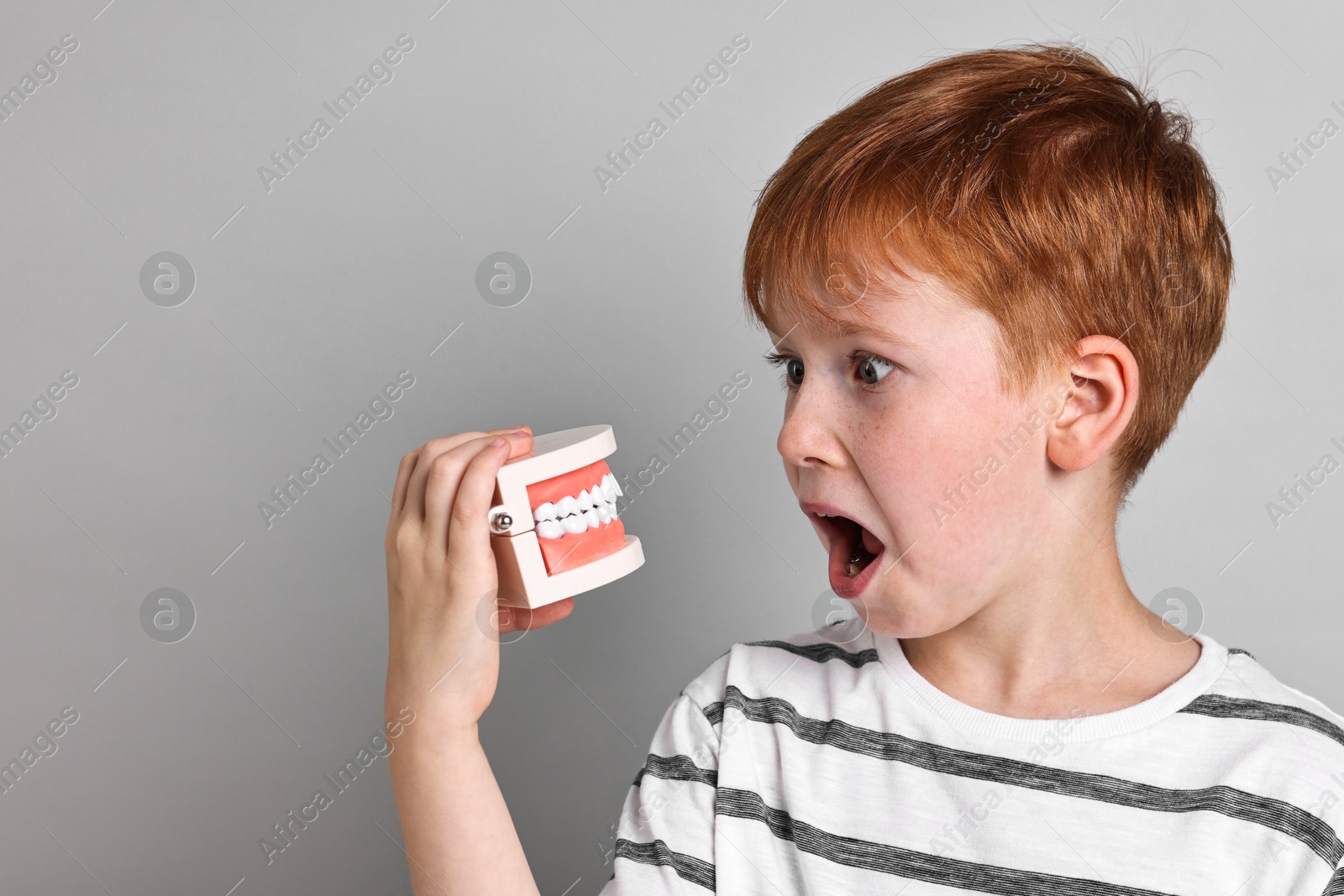 Photo of Dental phobia. Scared boy with model of jaw on grey background