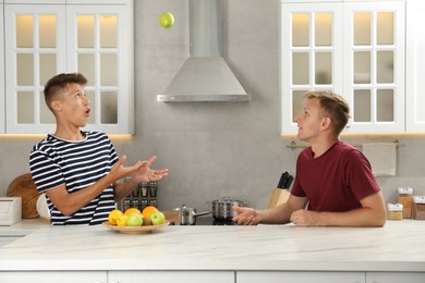 Photo of Young brothers spending time together in kitchen