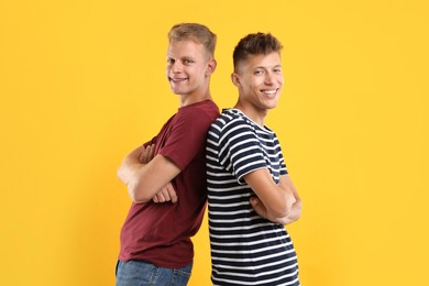 Portrait of happy brothers with crossed arms on orange background