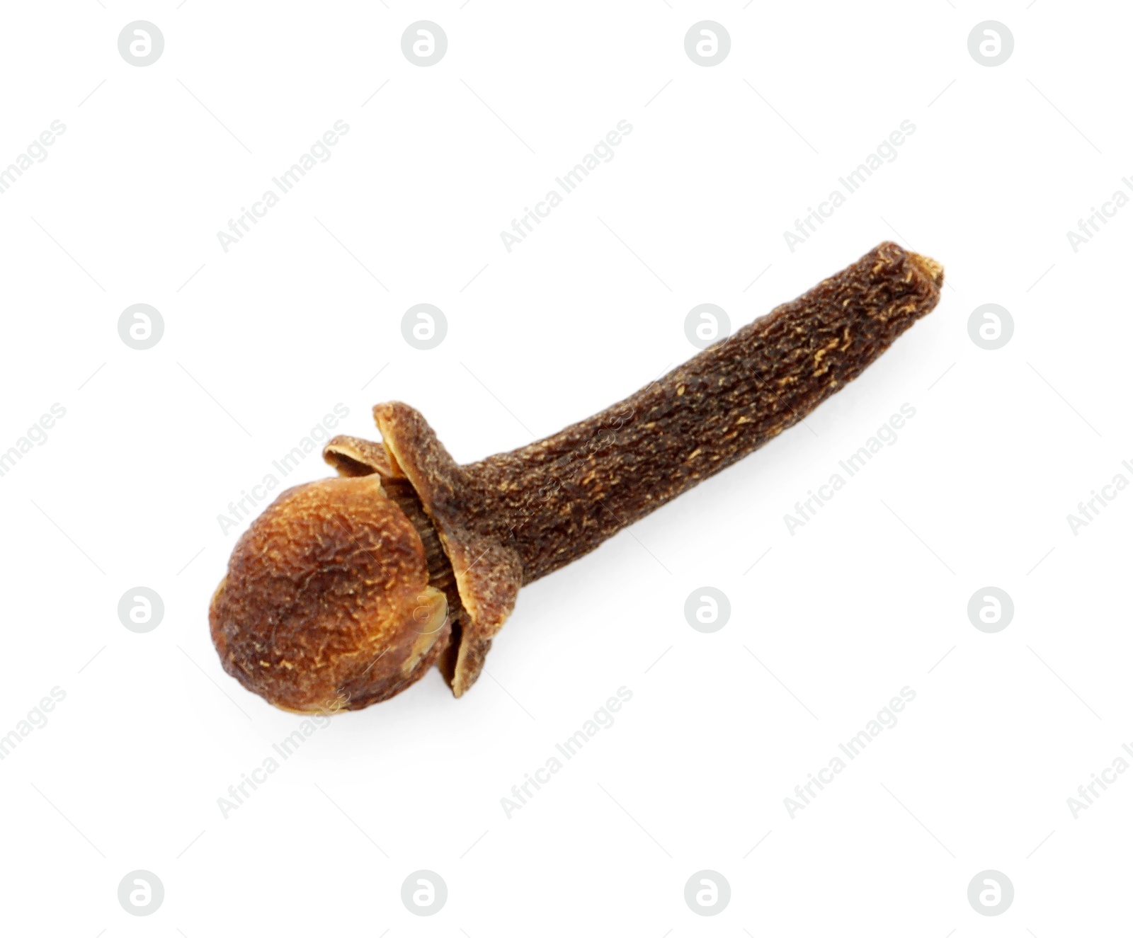 Photo of Aromatic spice. Dry clove bud isolated on white, top view