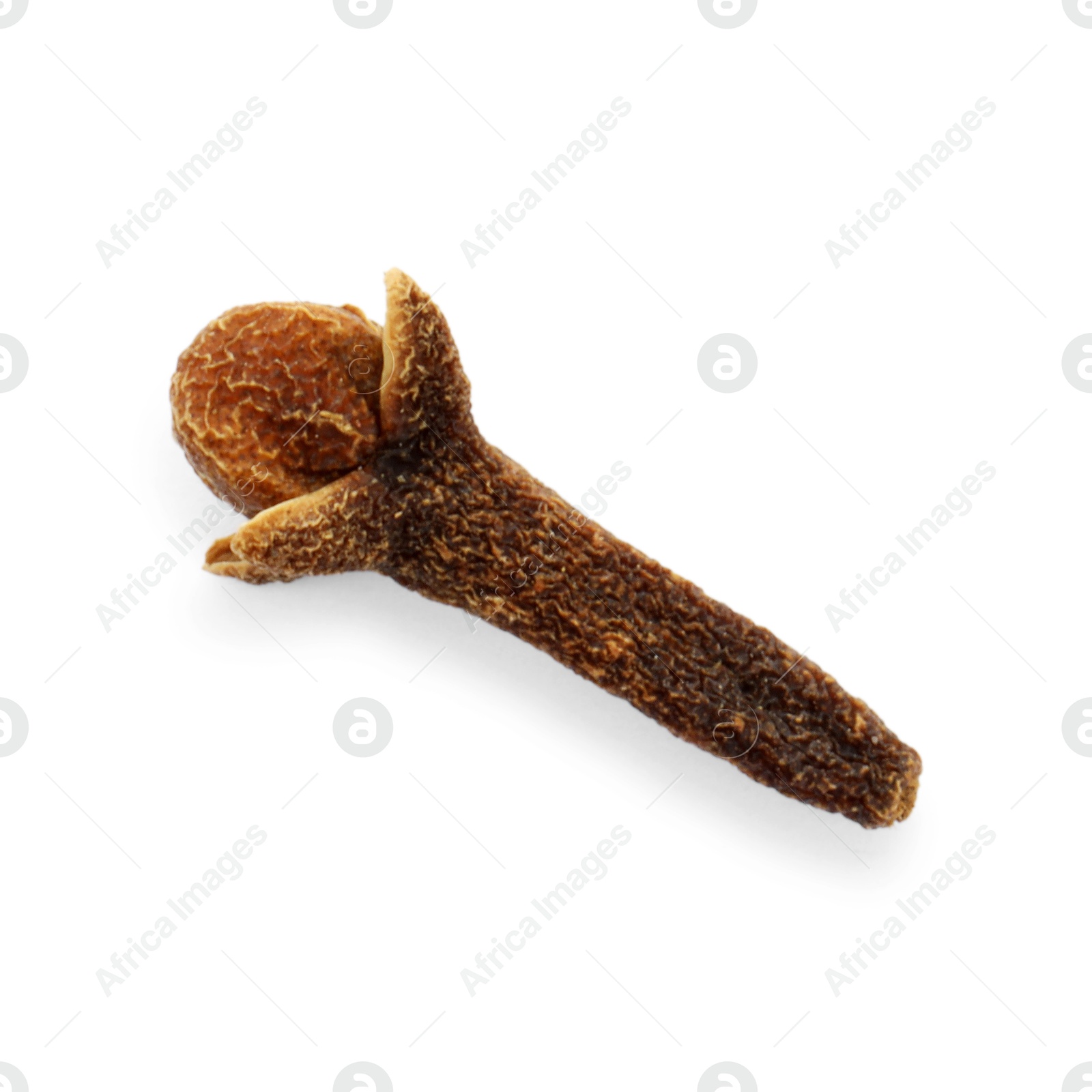 Photo of Aromatic spice. Dry clove bud isolated on white, top view