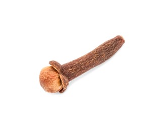 Photo of Aromatic spice. Dry clove bud isolated on white, top view