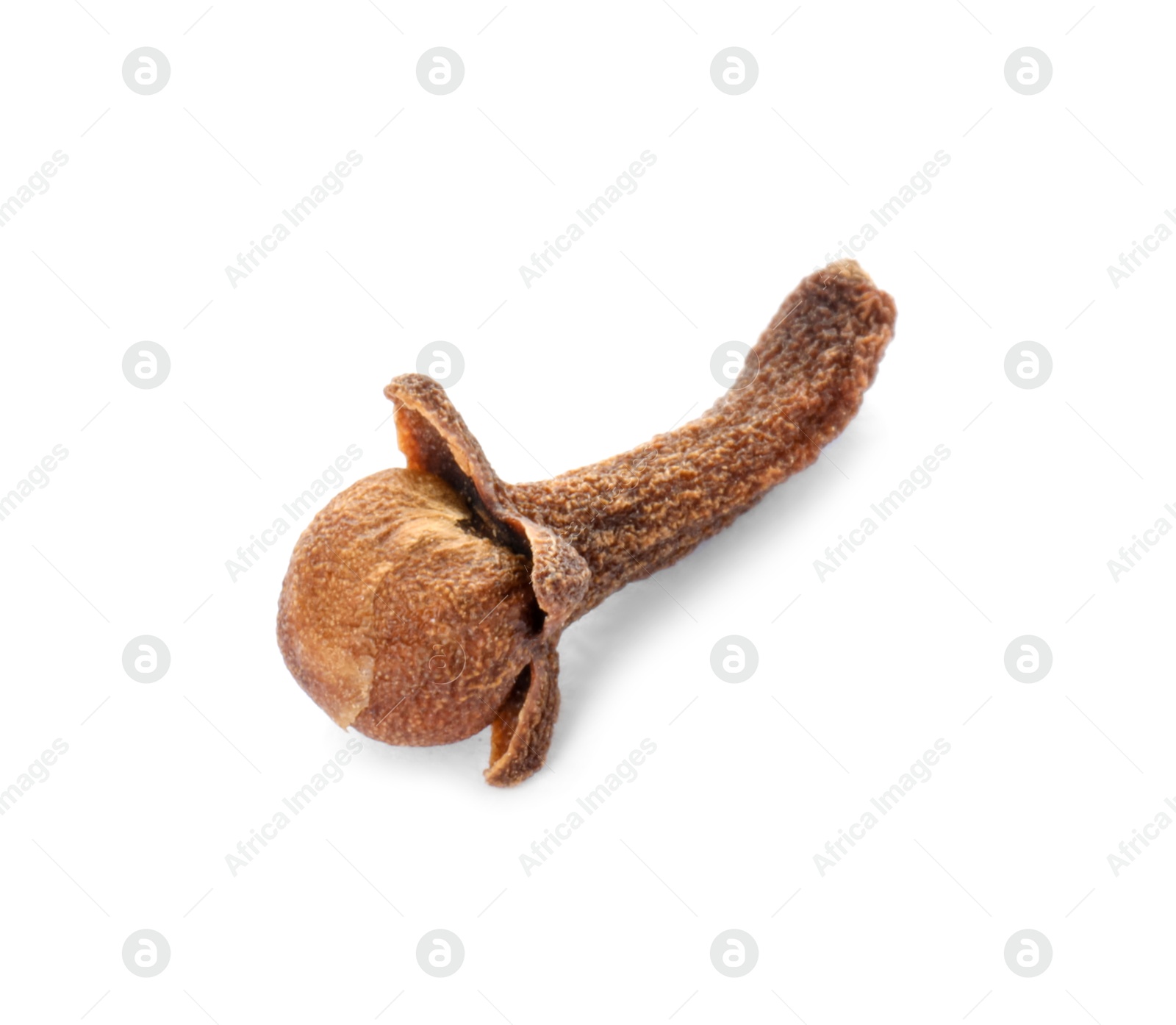 Photo of Aromatic spice. Dry clove bud isolated on white