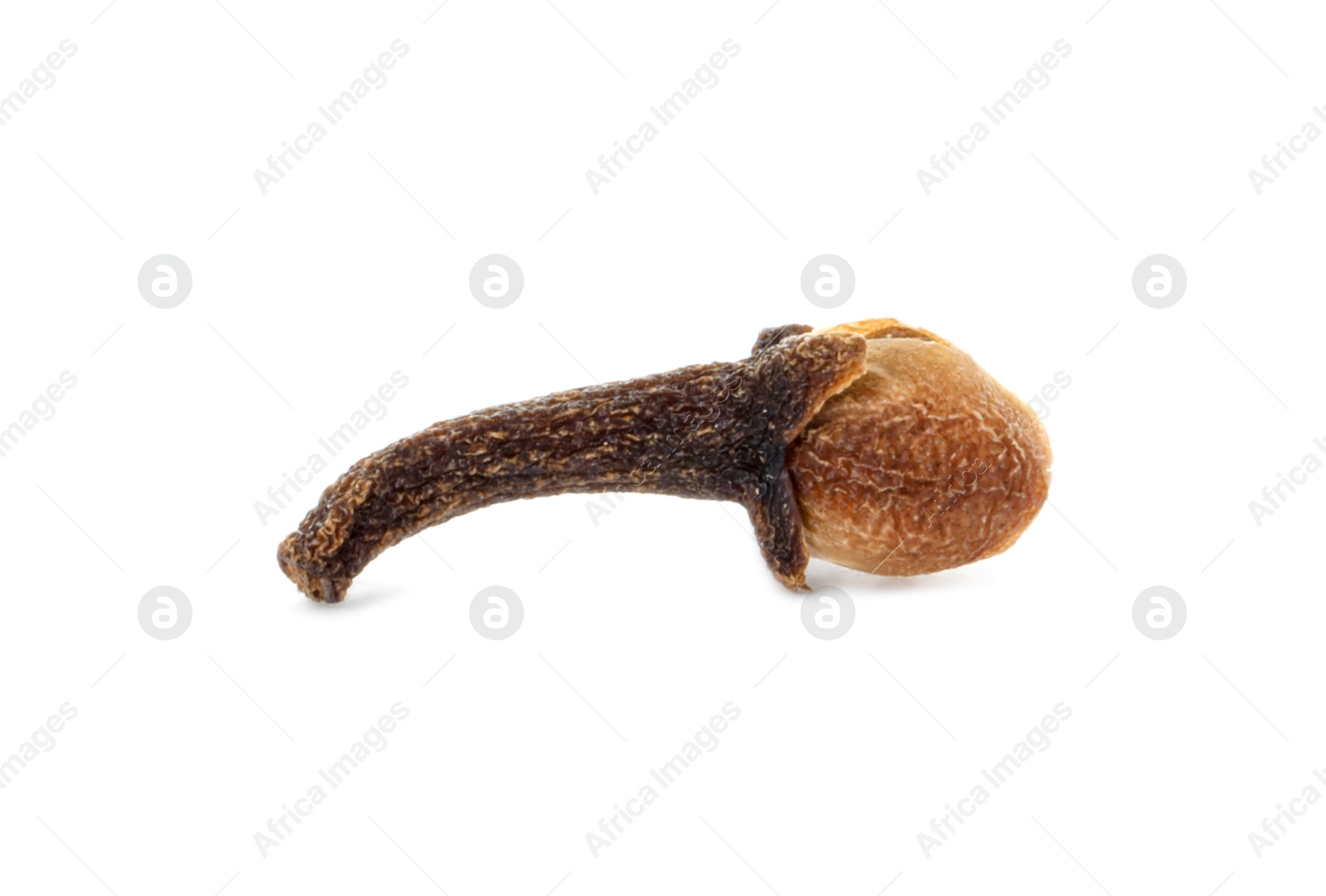 Photo of Aromatic spice. Dry clove bud isolated on white