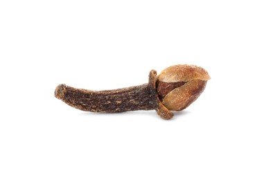 Aromatic spice. Dry clove bud isolated on white