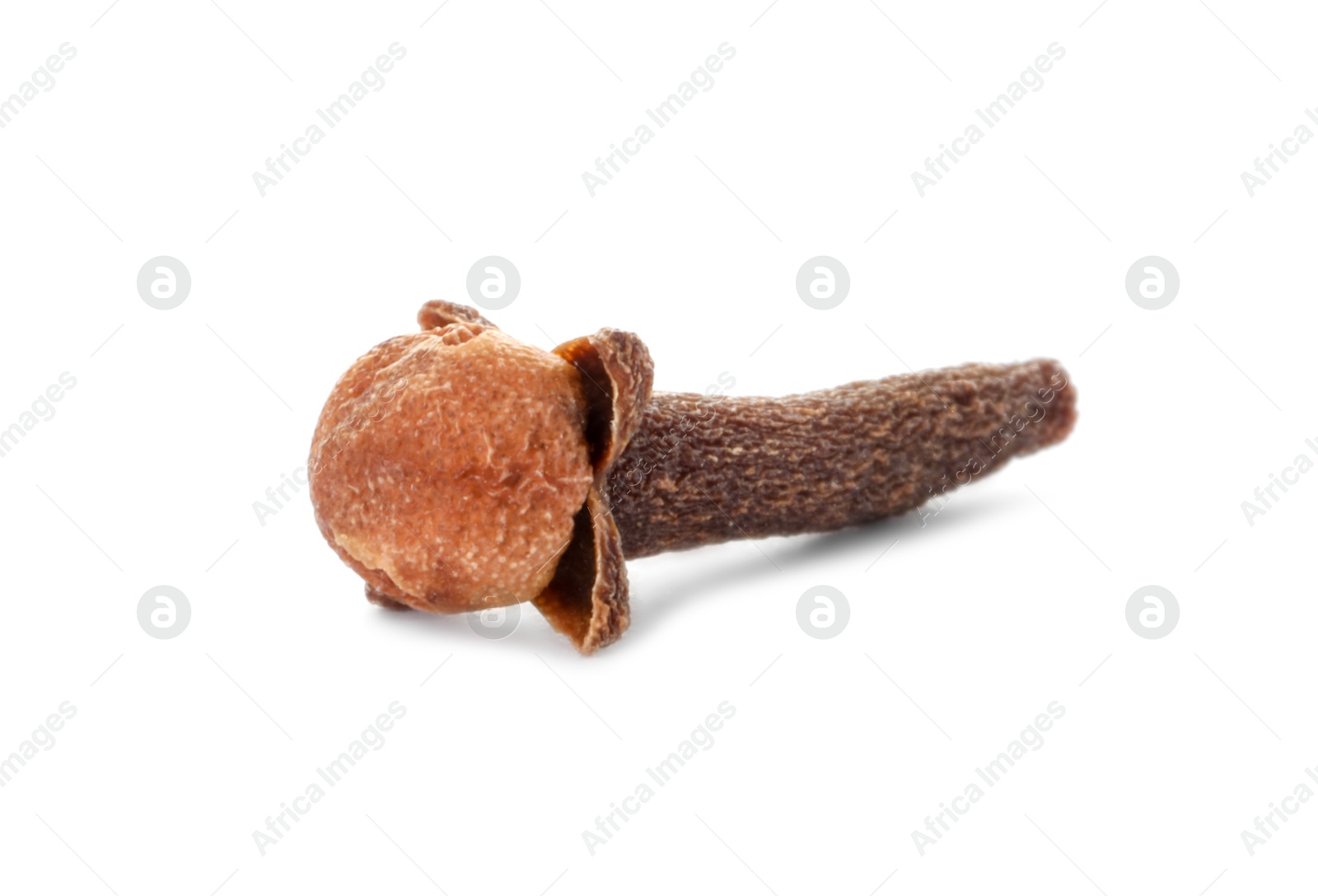 Photo of Aromatic spice. Dry clove bud isolated on white