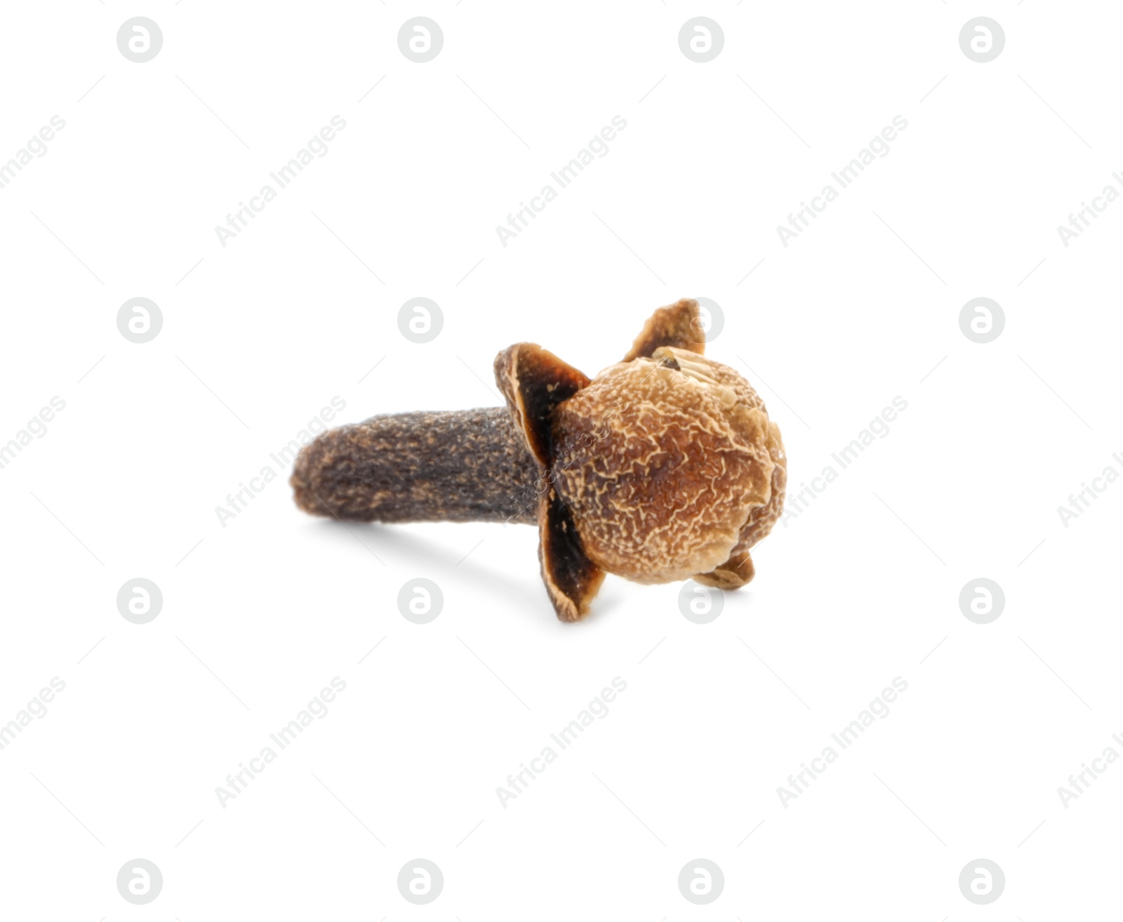 Photo of Aromatic spice. Dry clove bud isolated on white