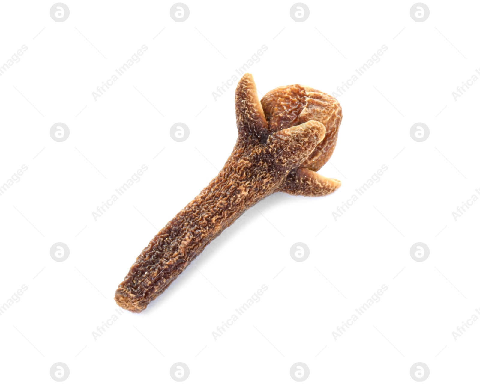 Photo of Aromatic spice. Dry clove bud isolated on white, top view