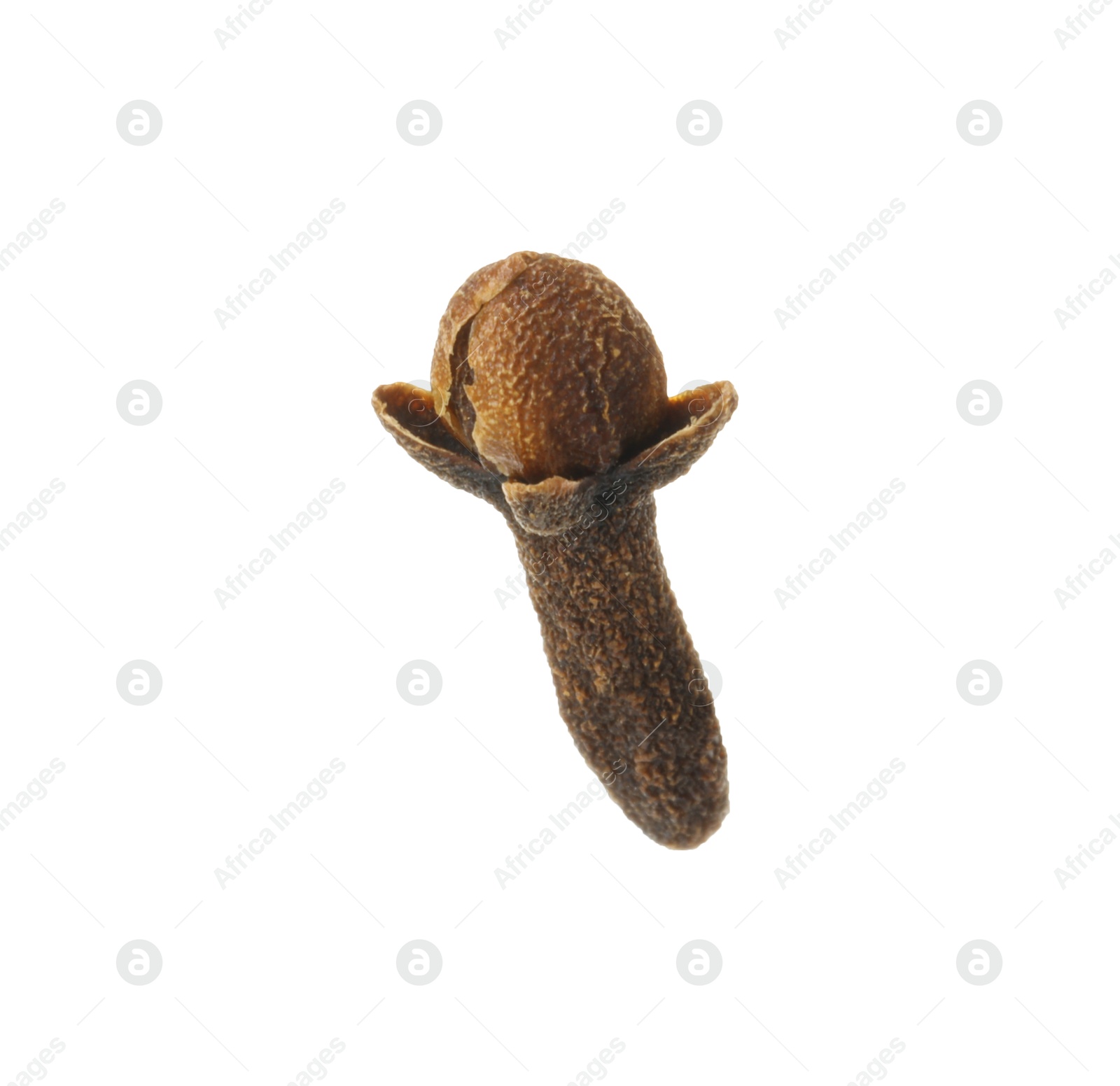 Photo of One dry clove bud isolated on white. Aromatic spice