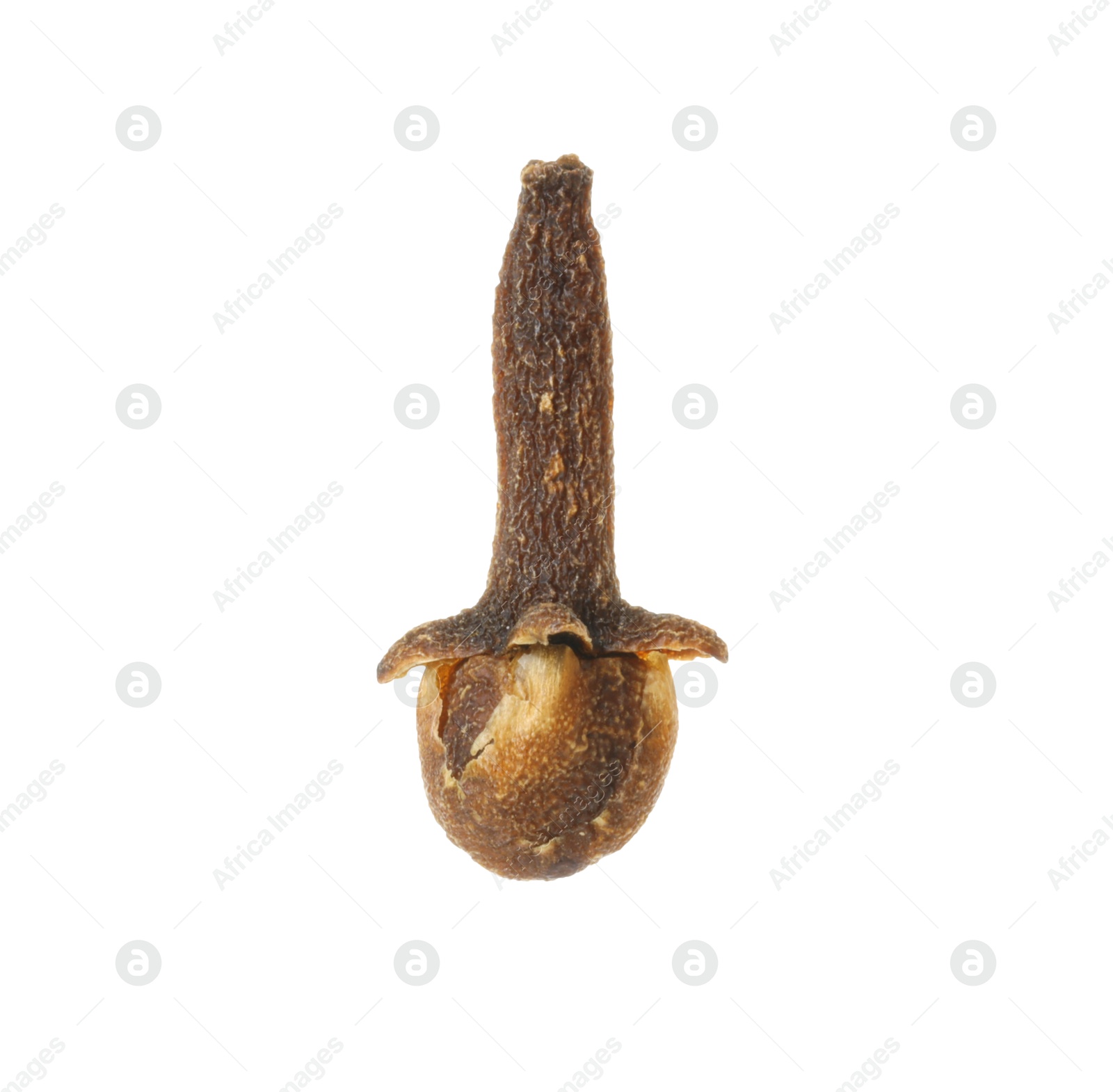 Photo of One dry clove bud isolated on white. Aromatic spice