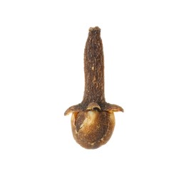 Photo of One dry clove bud isolated on white. Aromatic spice