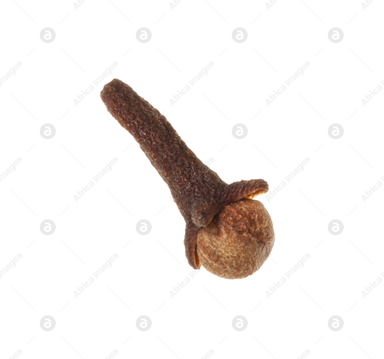 Photo of One dry clove bud isolated on white. Aromatic spice