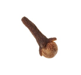 Photo of One dry clove bud isolated on white. Aromatic spice