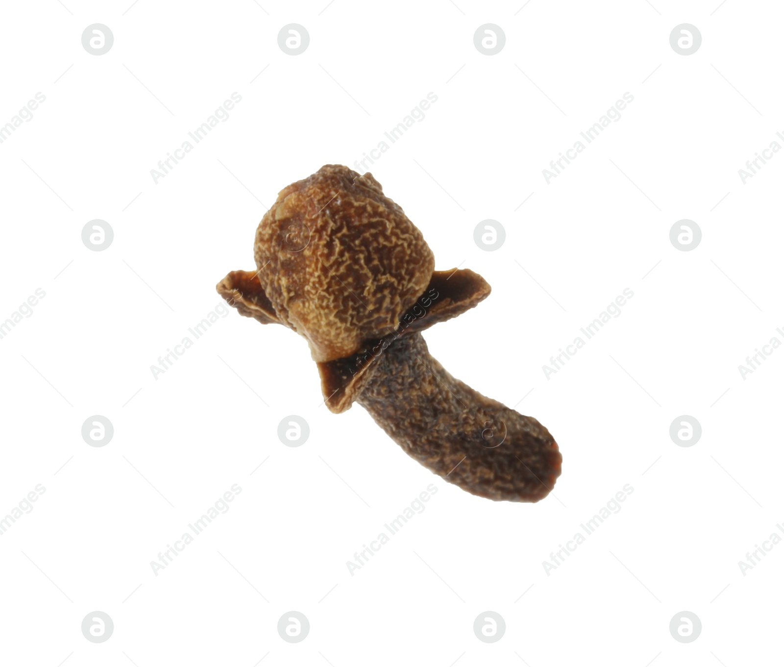 Photo of One dry clove bud isolated on white. Aromatic spice