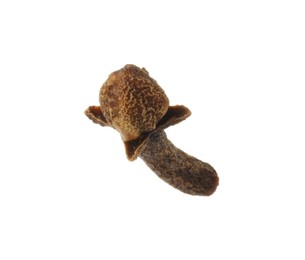 One dry clove bud isolated on white. Aromatic spice