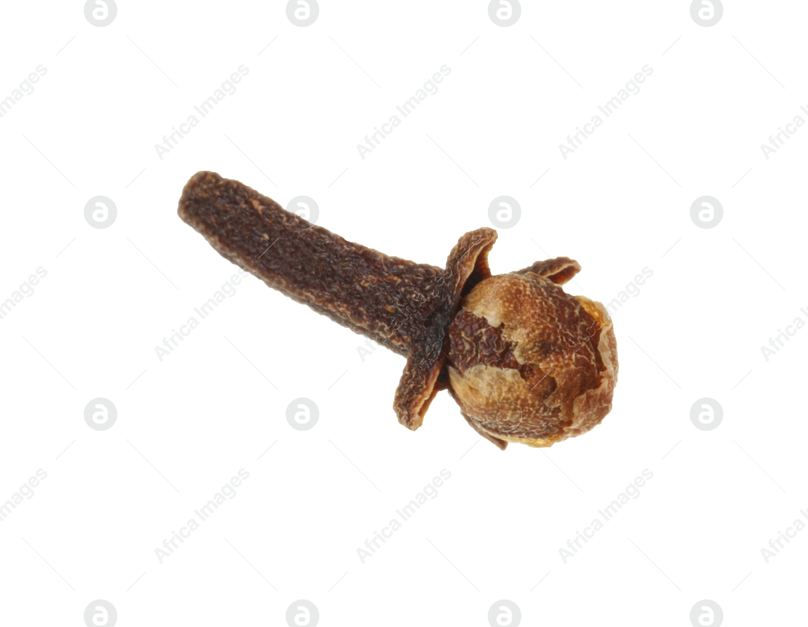 Photo of One dry clove bud isolated on white. Aromatic spice