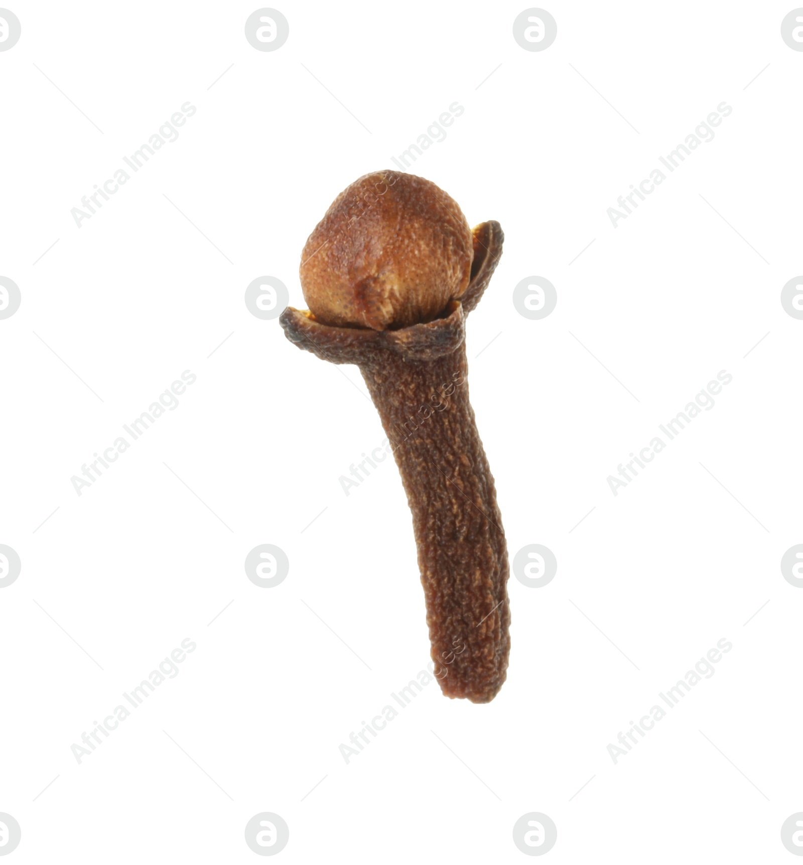 Photo of One dry clove bud isolated on white. Aromatic spice