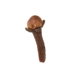 Photo of One dry clove bud isolated on white. Aromatic spice