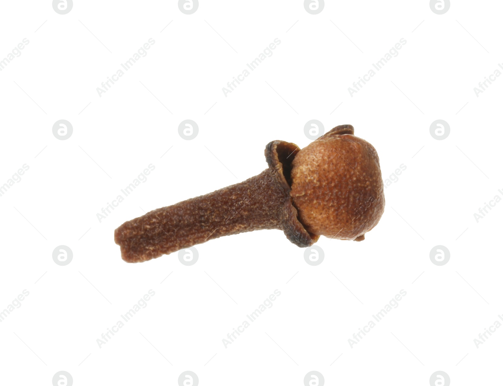 Photo of One dry clove bud isolated on white. Aromatic spice