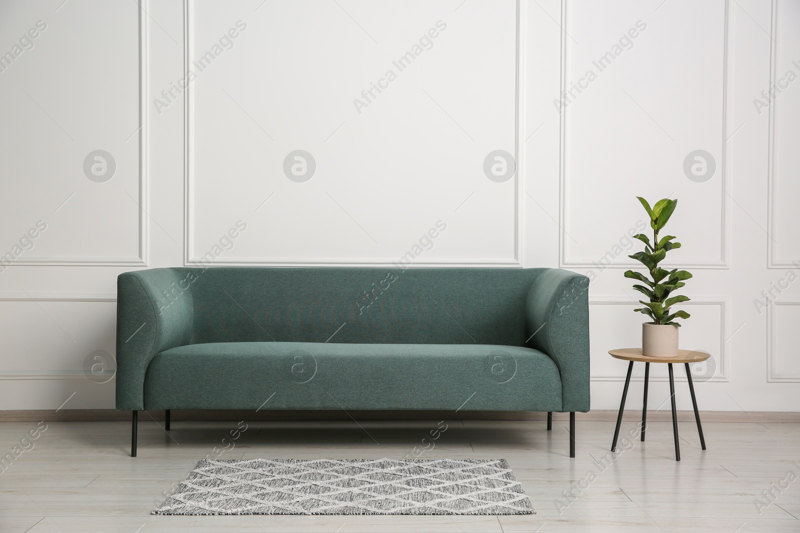 Photo of Stylish sofa and side table with houseplant near white wall indoors