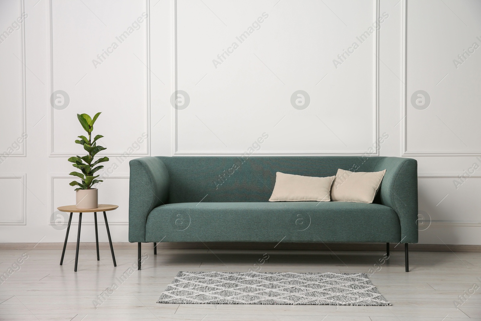 Photo of Stylish sofa, pillows and side table with houseplant near white wall indoors