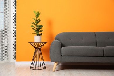 Photo of Stylish sofa and side table with houseplant near orange wall indoors