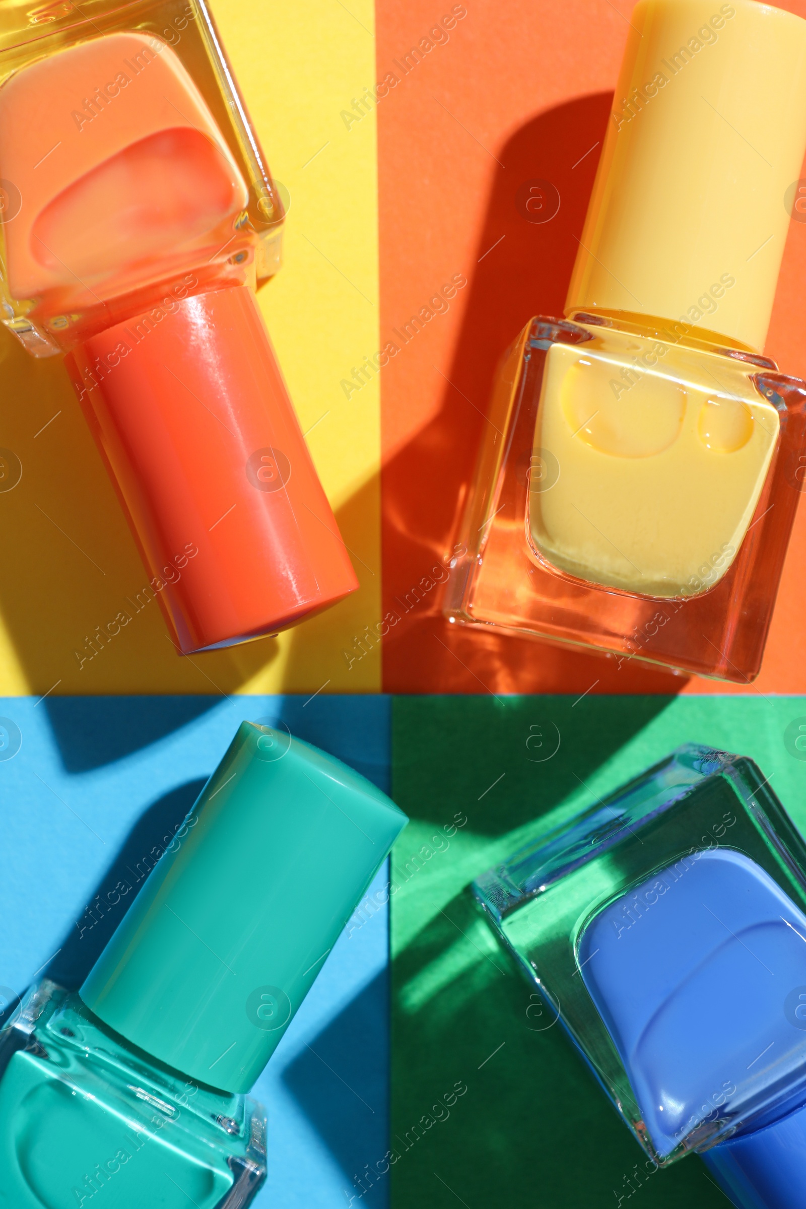 Photo of Nail polishes in bottles on color background, flat lay