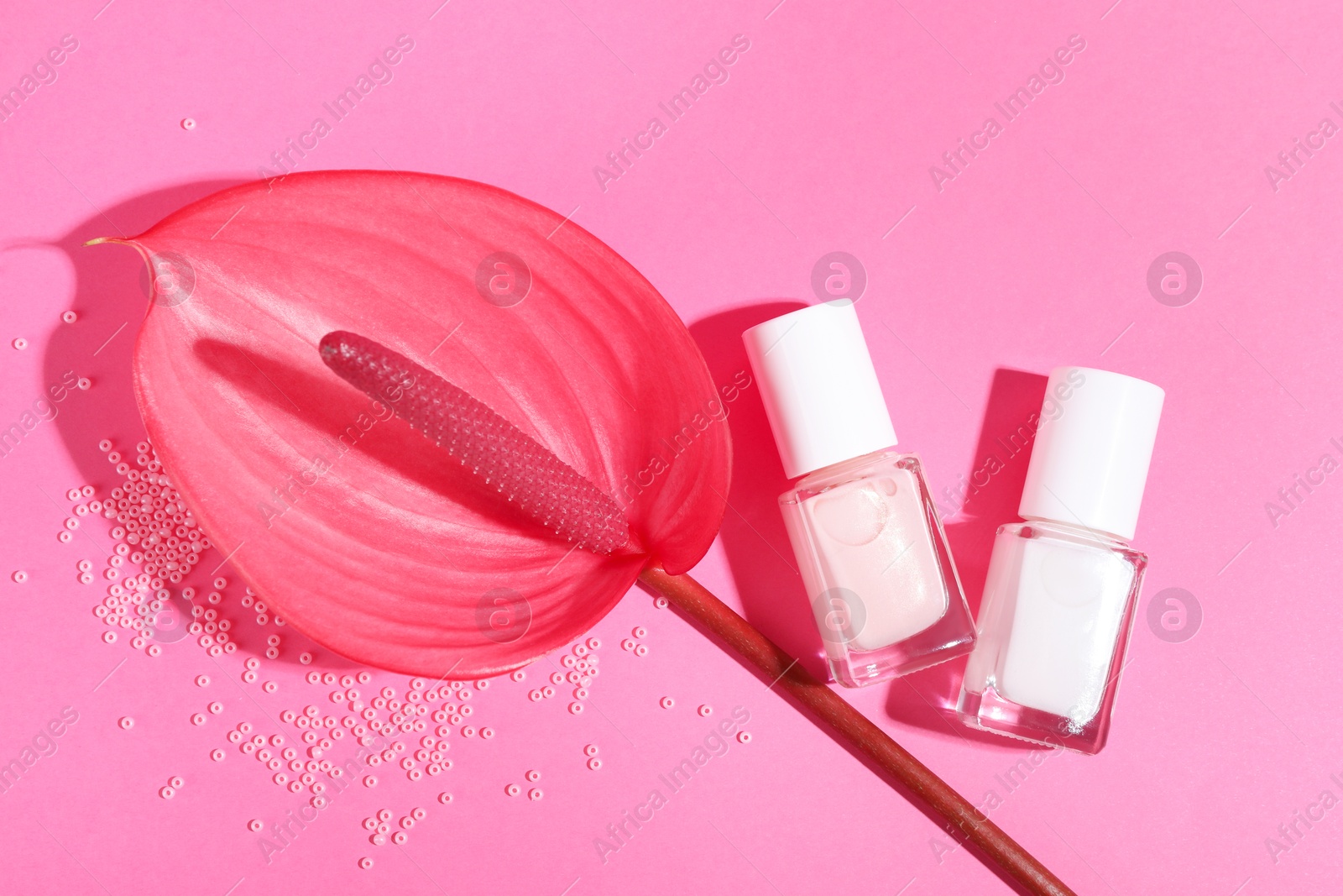 Photo of Nail polishes in bottles, beads and tail flower on pink background, flat lay