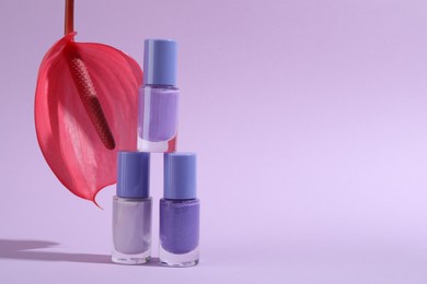 Photo of Stack of nail polishes in bottles and tail flower on light violet background, space for text