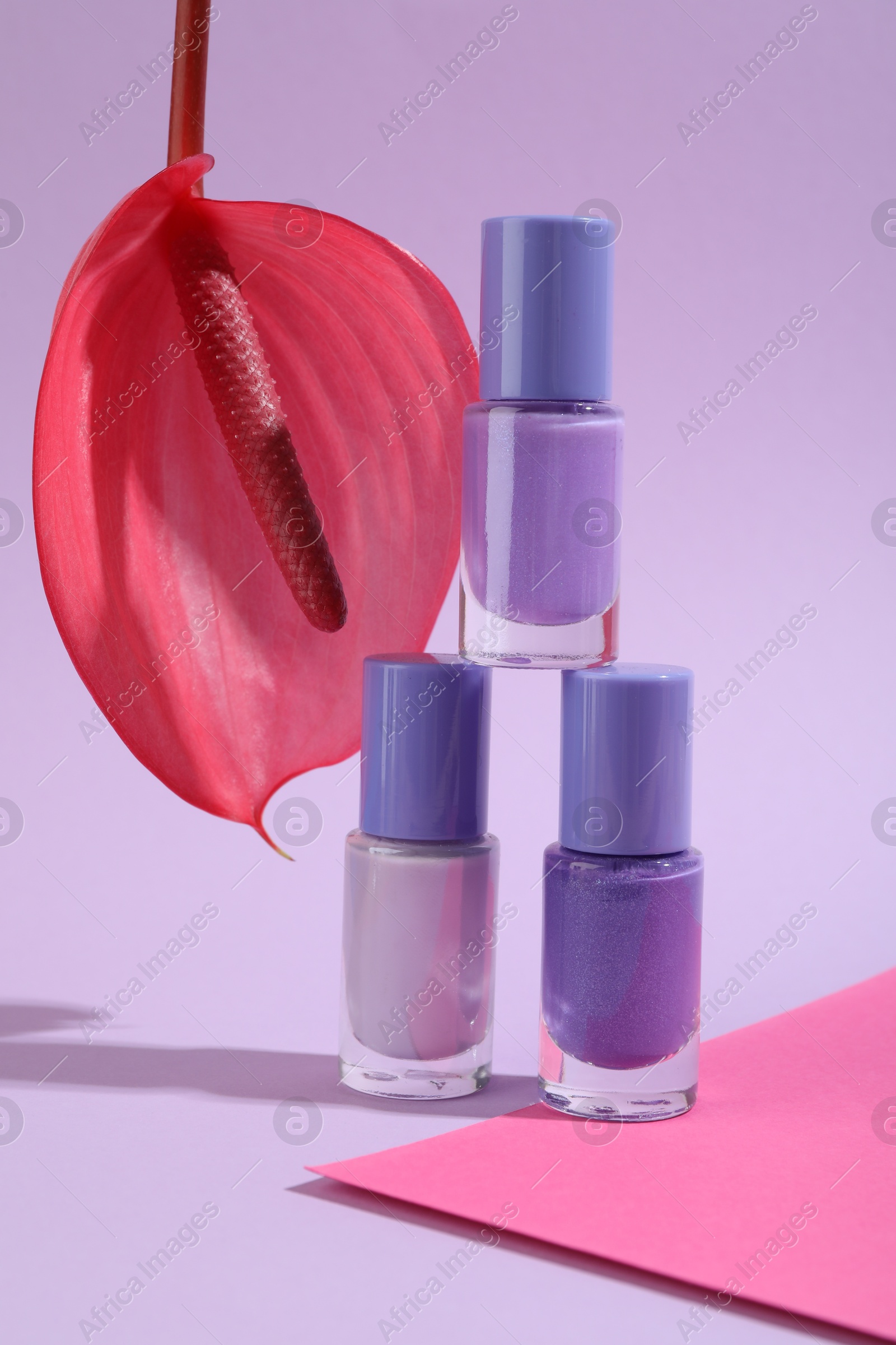 Photo of Stack of nail polishes in bottles and tail flower on light violet background