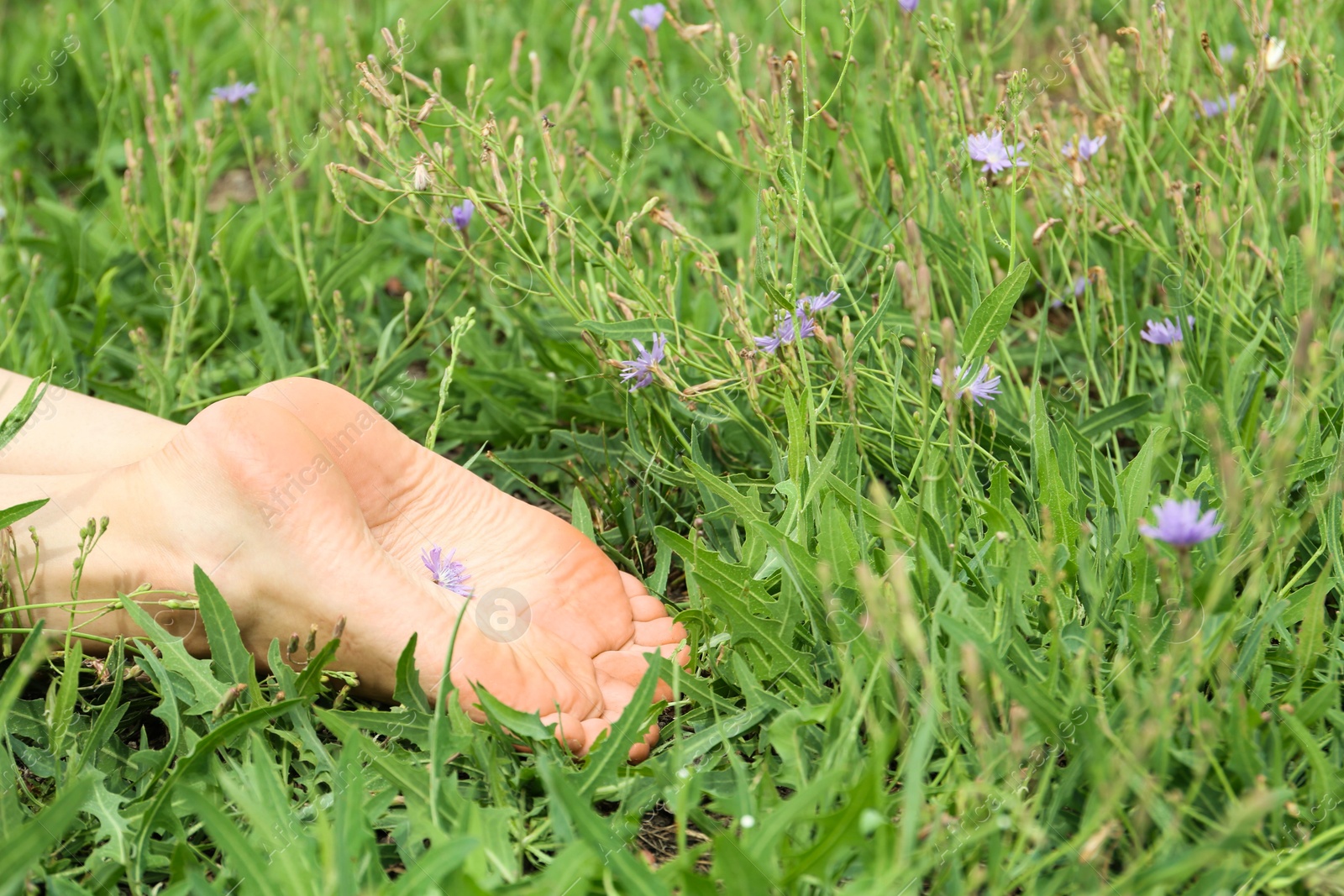 Photo of Woman lying barefoot on green grass outdoors, closeup