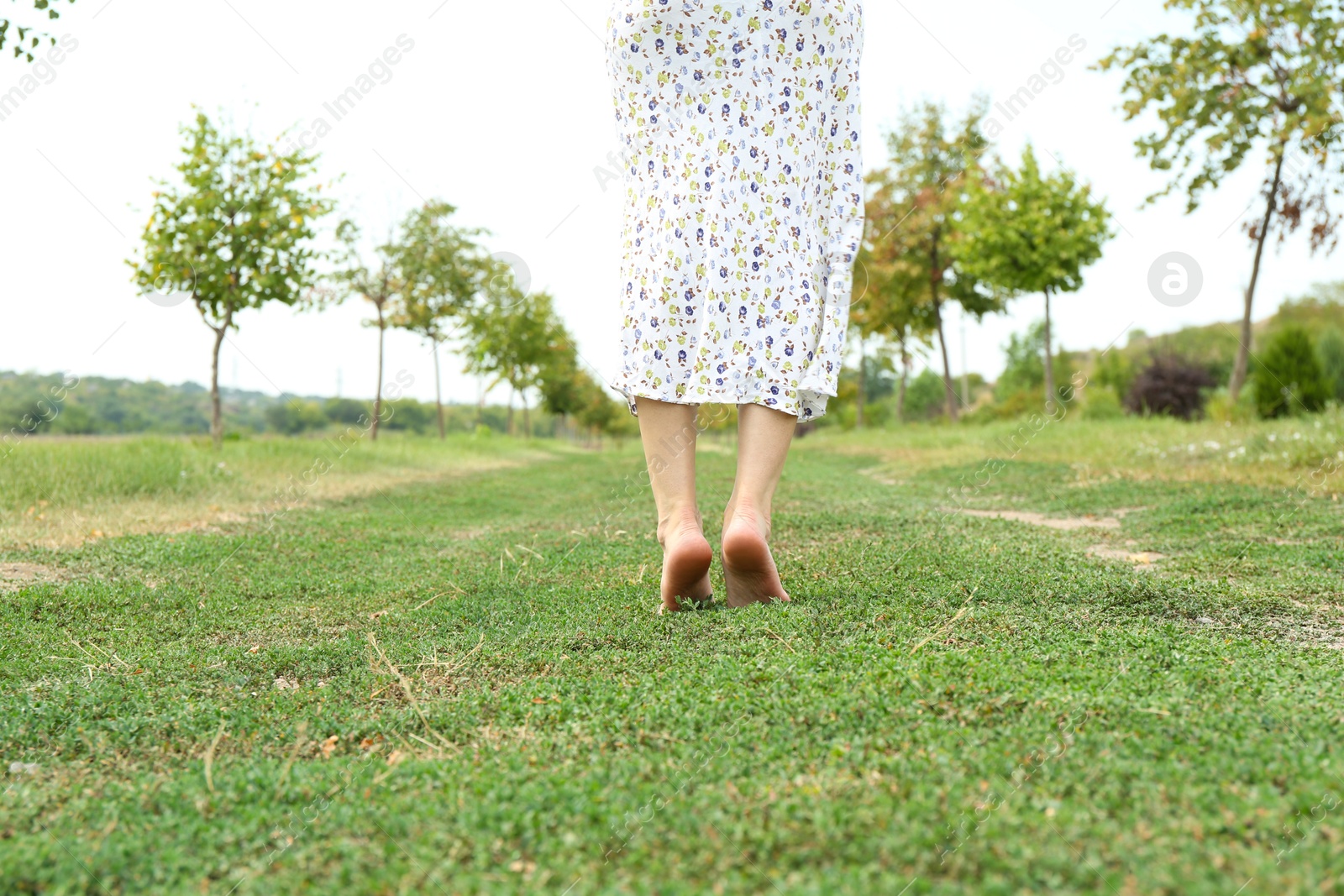 Photo of Woman walking barefoot on green grass outdoors, closeup