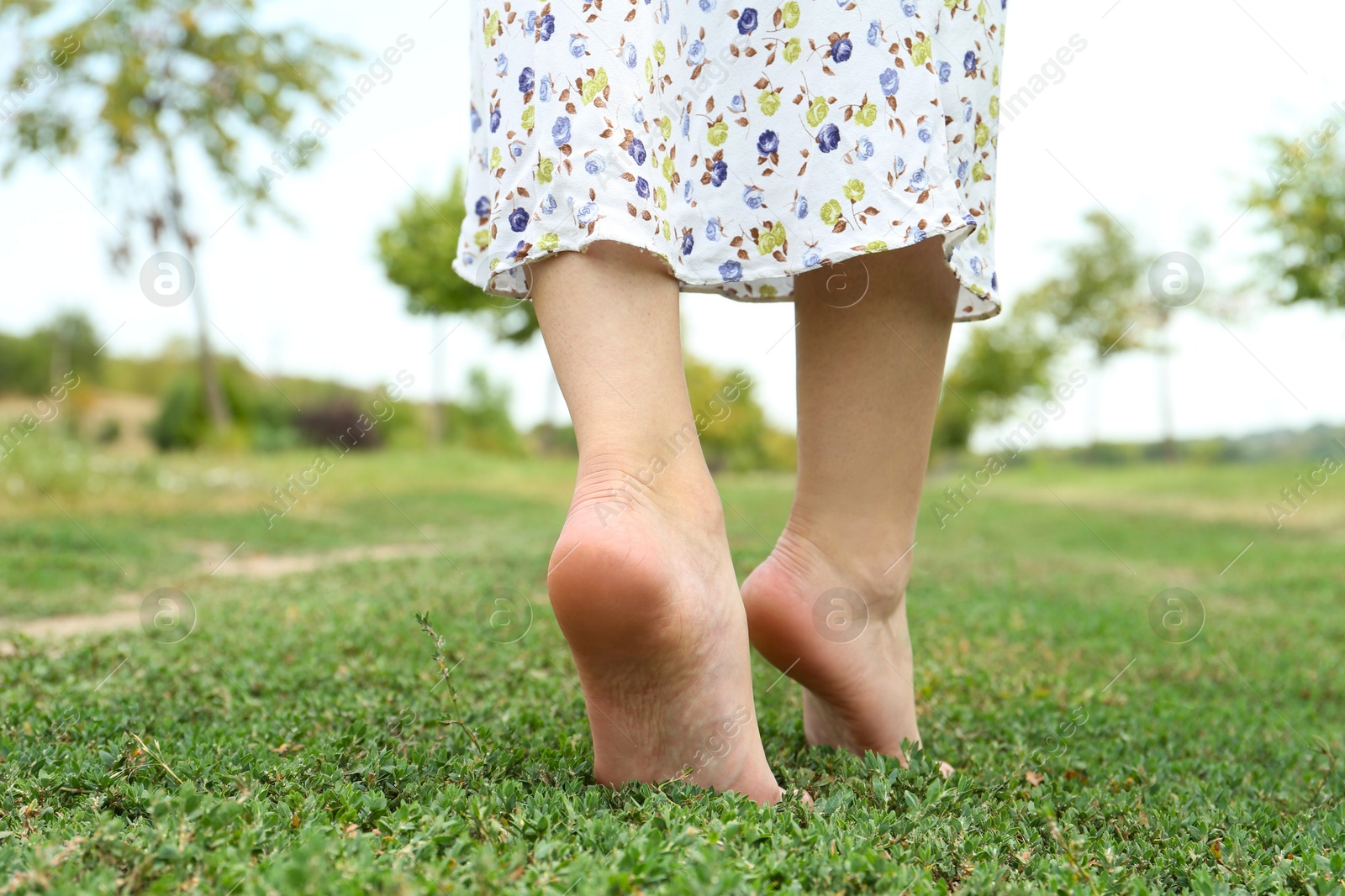 Photo of Woman walking barefoot on green grass outdoors, closeup