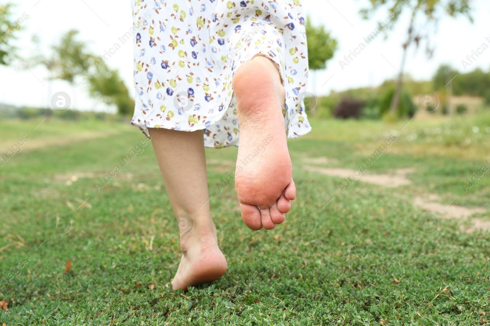 Photo of Woman walking barefoot on green grass outdoors, closeup