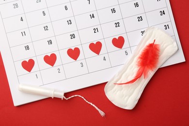 Photo of Calendar with marked dates, menstrual pad with feather and tampon on red background, top view