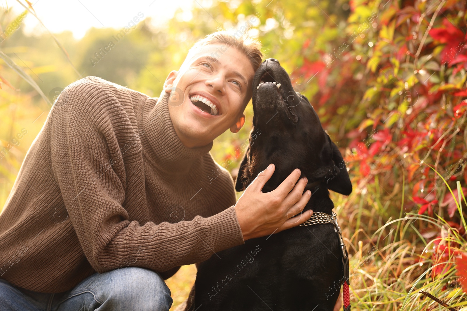 Photo of Smiling man with cute dog outdoors on autumn day